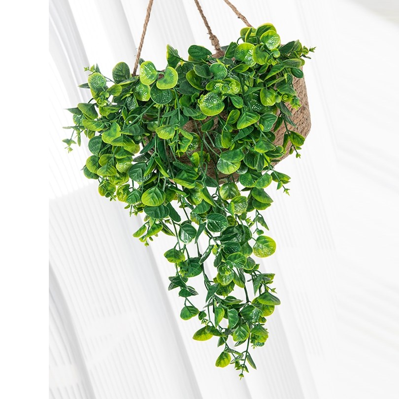 Eucalyptus Varen Rotan Kunstma - Rattan Plant Basket recensie en prijs