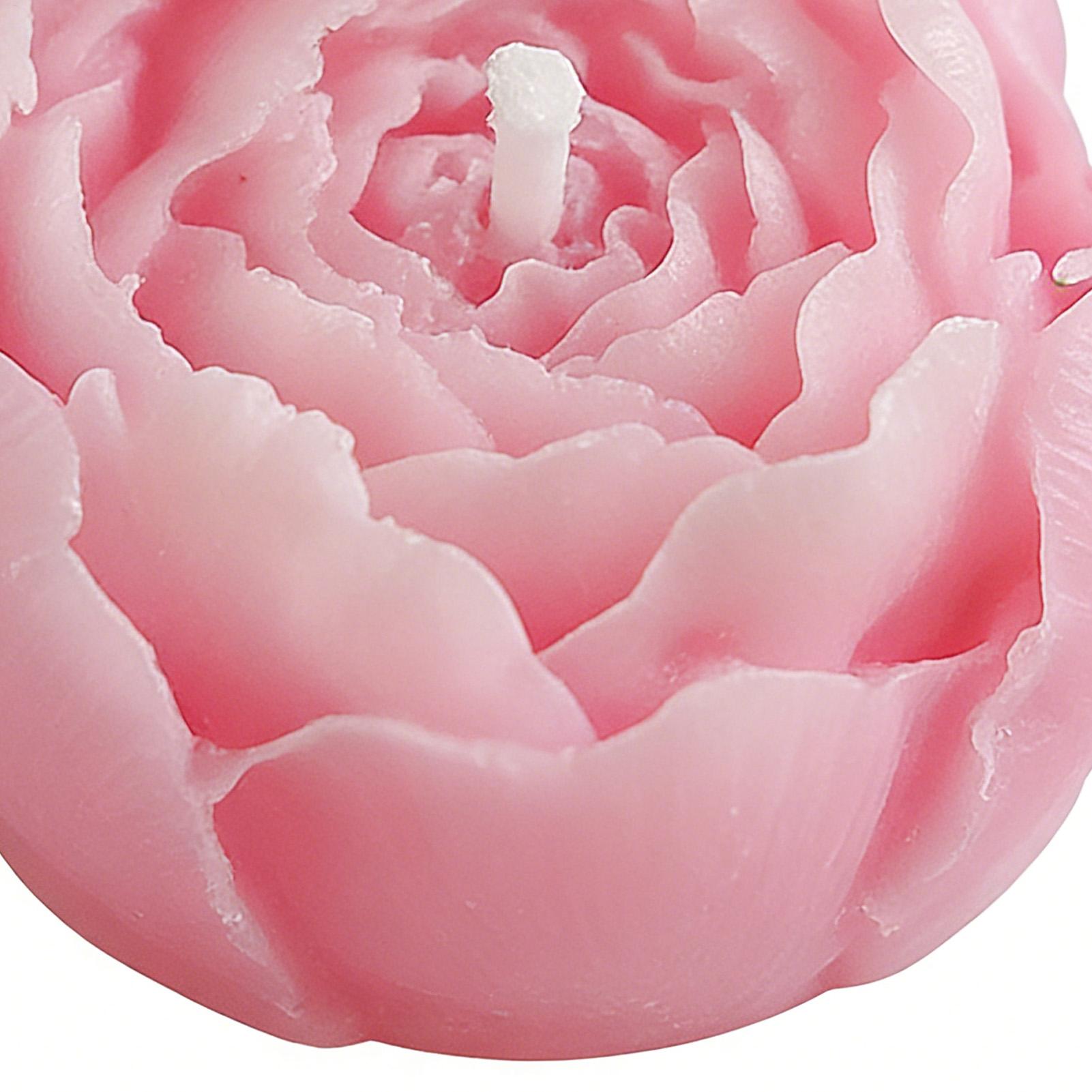 Sojawas kaarsen creatieve bloe - Home Decor Kit recensie en prijs