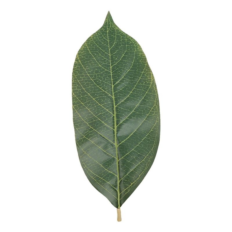 Kunstmatige groene Magnolia bl - Artificial Hanging Plants recensie en prijs